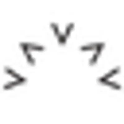 Varley US logo